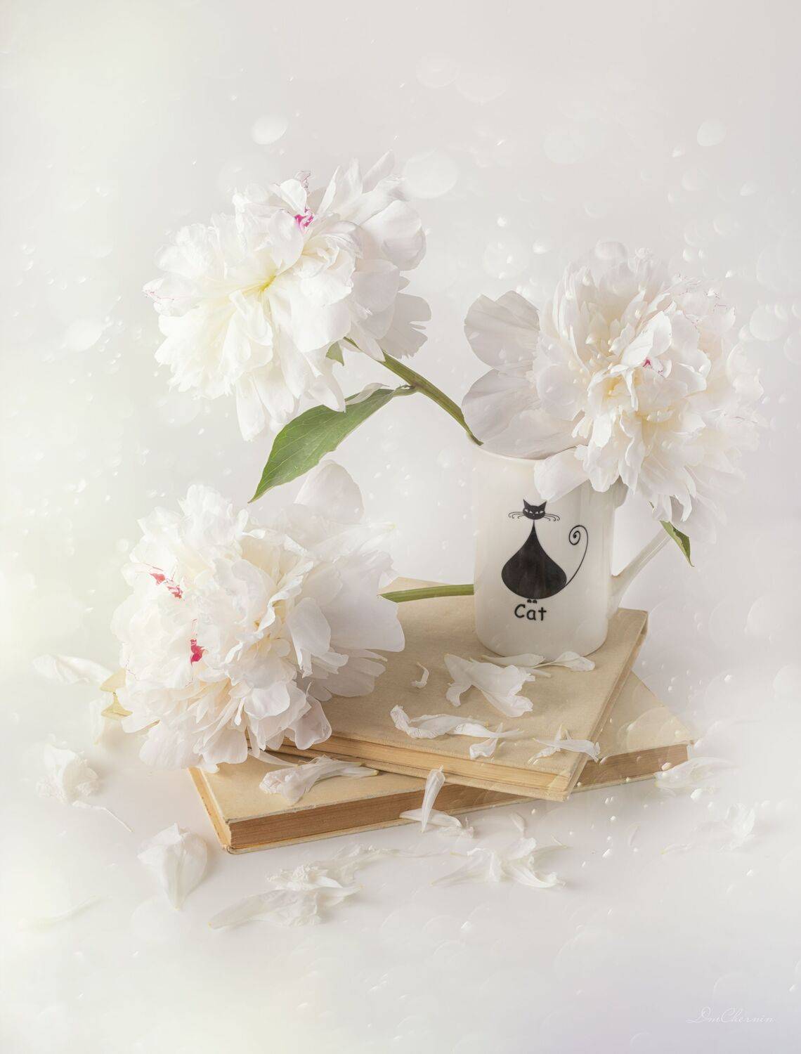 , Дмитрий Чернин