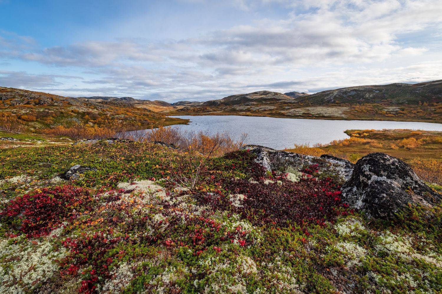 Териберка, тундра, осень, Степанова Татьяна