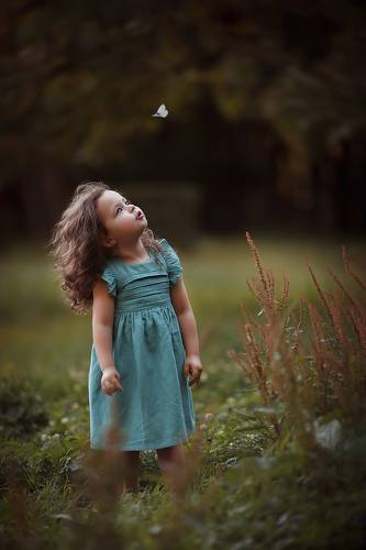 охота на бабочку