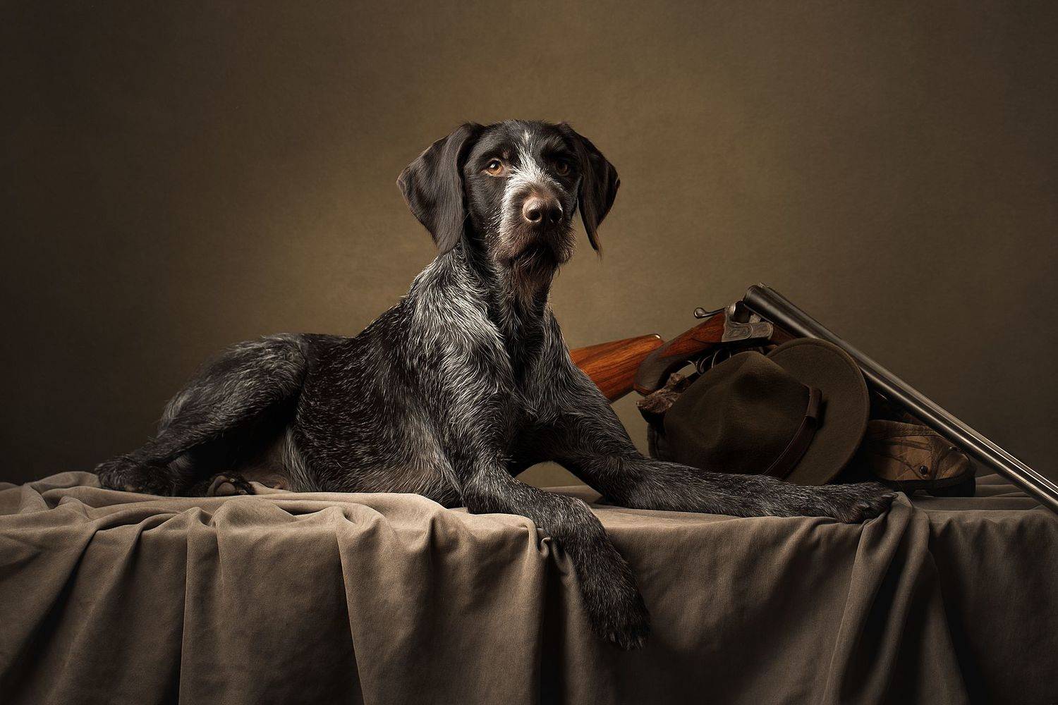 , Светлана Писарева