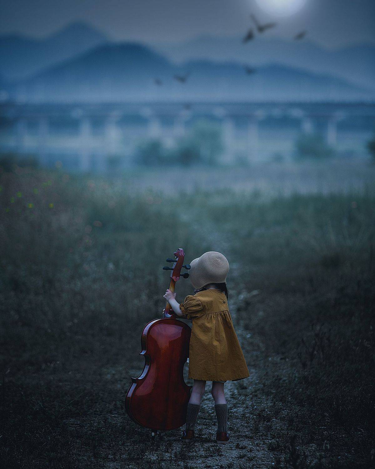 yao wenqi,  姚文琦