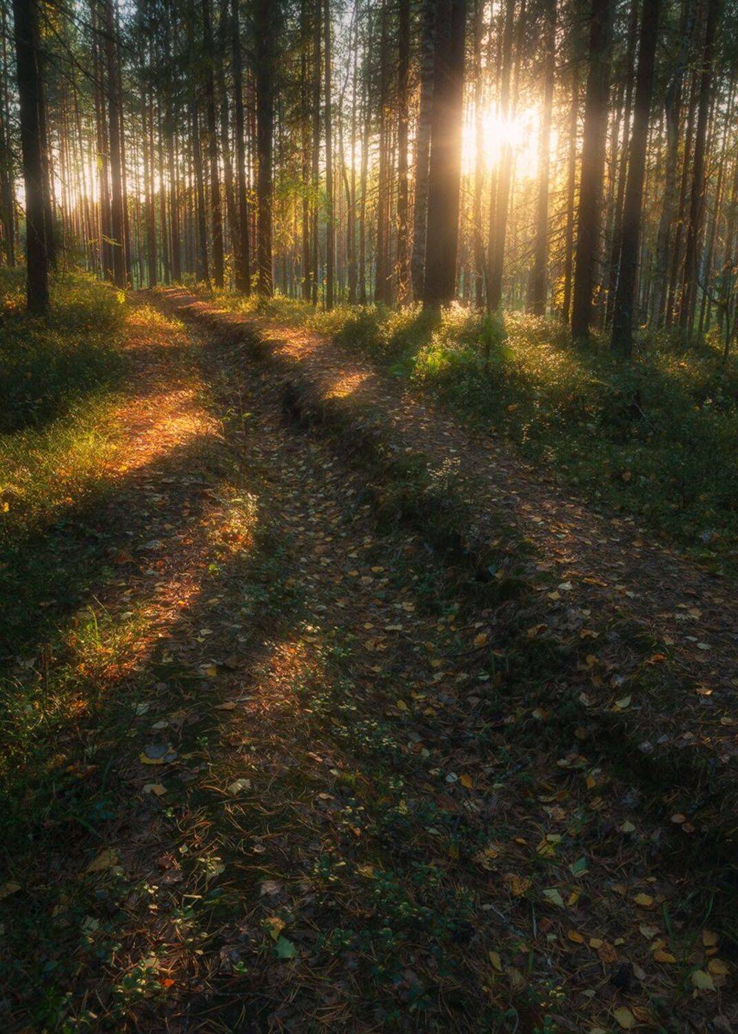 , Смольский Евгений