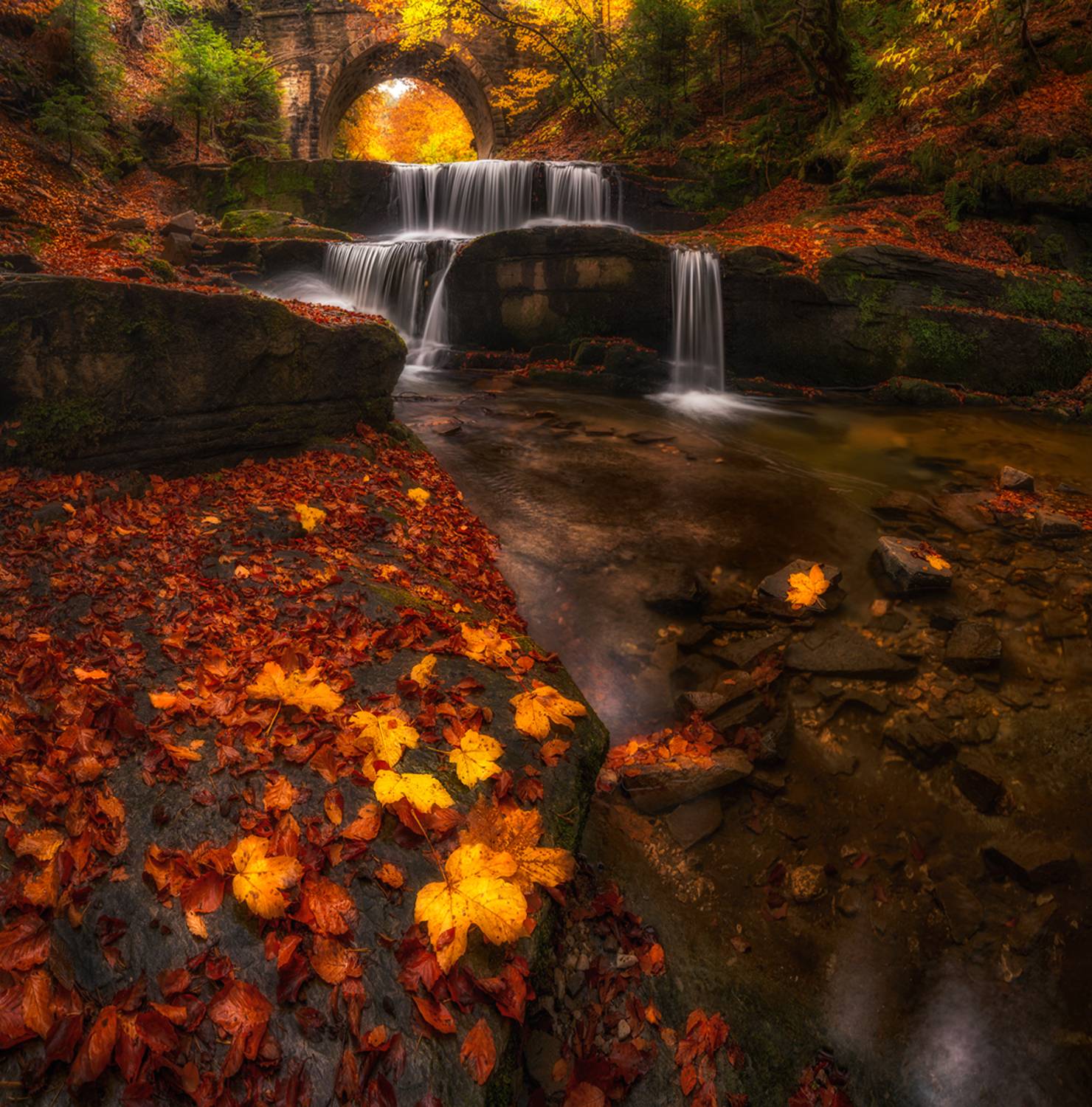 landscape, nature, scenery, forest, wood, autumn, fall, waterfall, river, mountain, rodopi, bulgaria, лес, Александър Александров