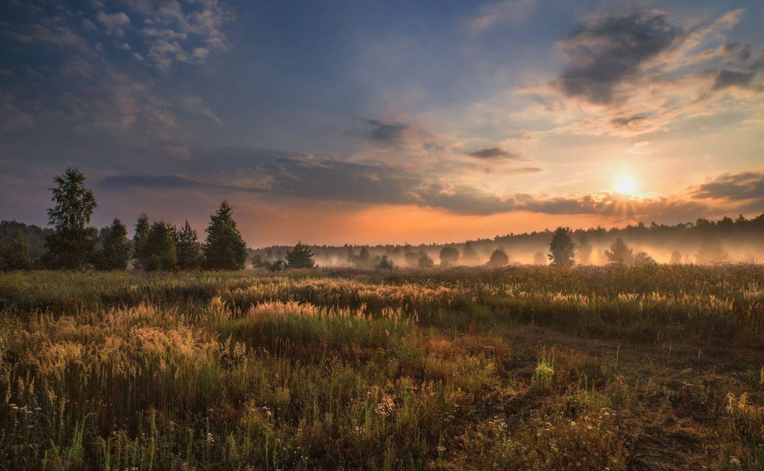 утро,туман,солнце,небо.облака,свет, Виталий Полуэктов