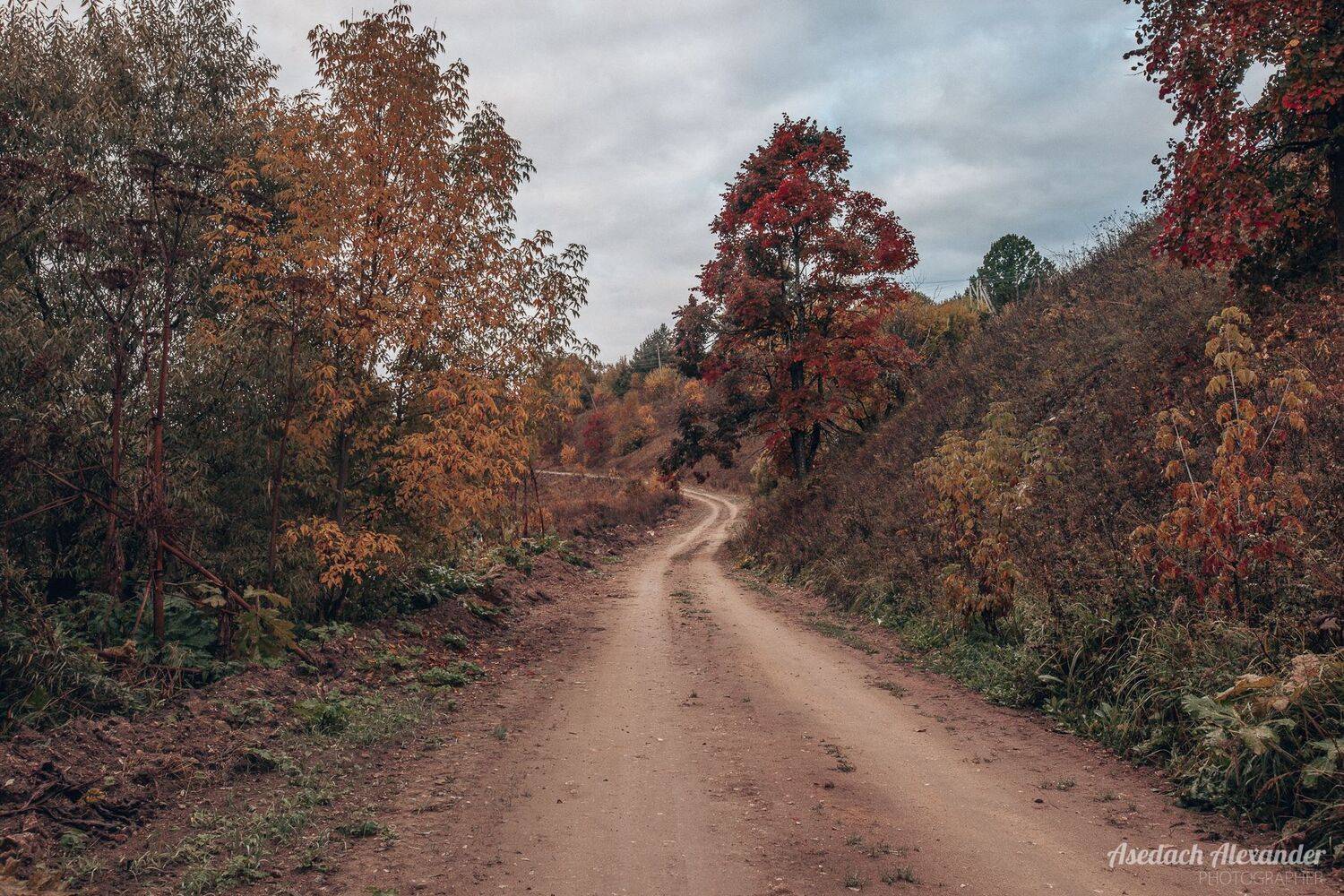 , Аседач Александр