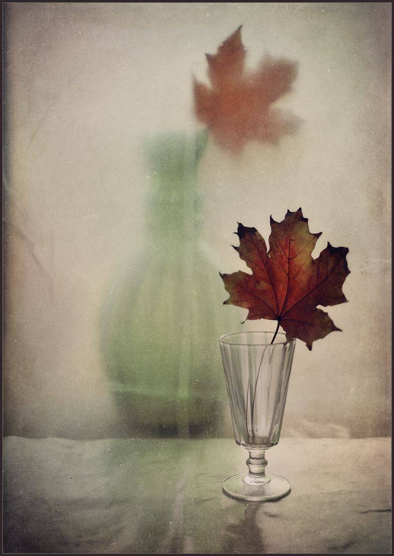 , Хромеев Александр