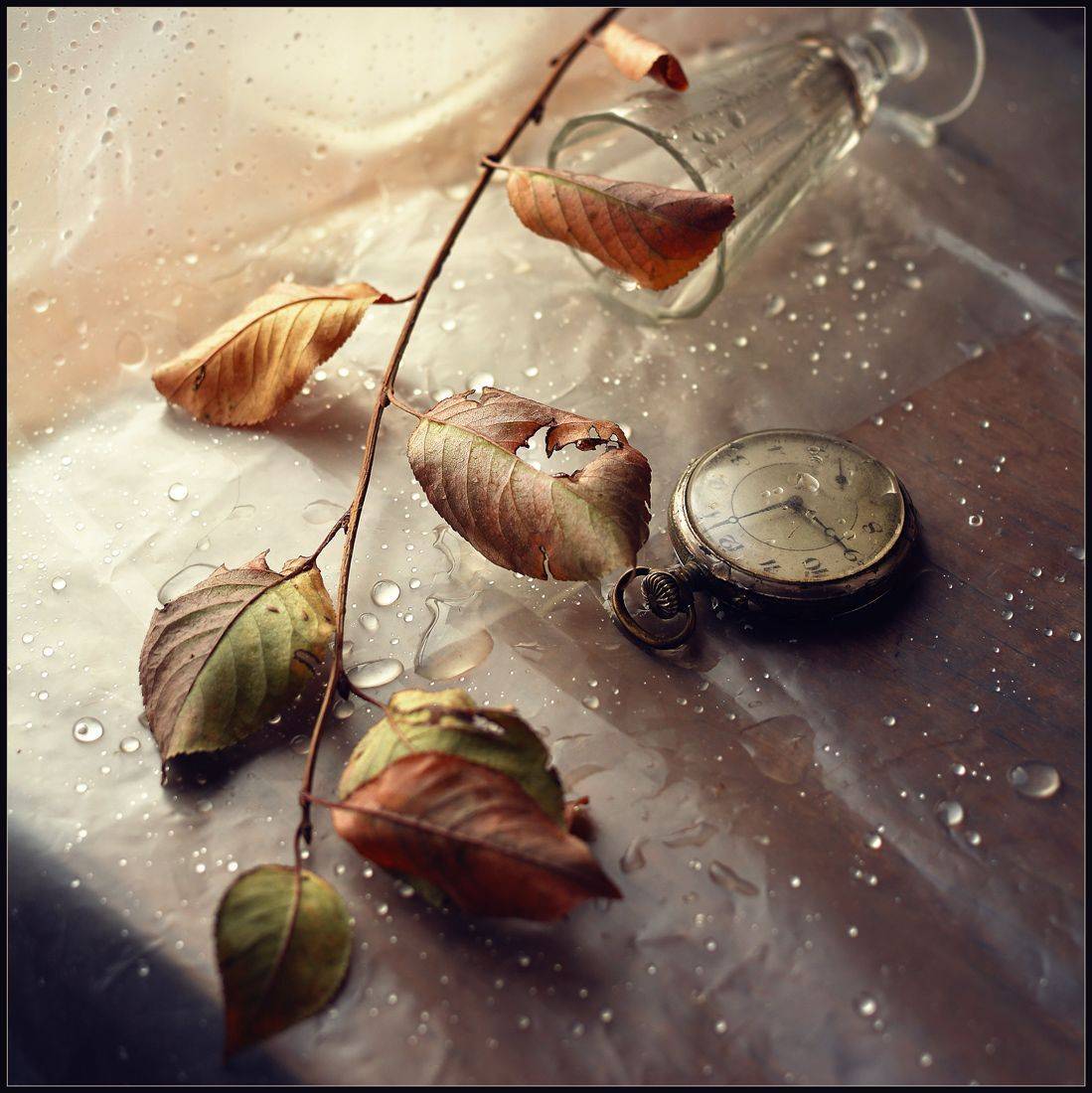 , Хромеев Александр