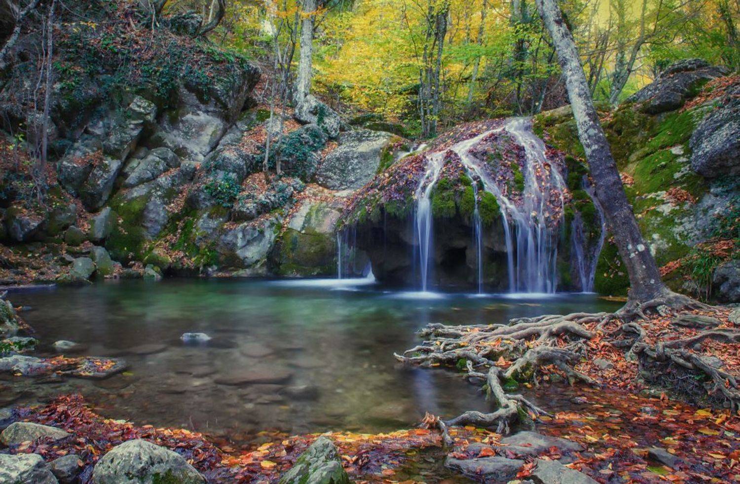 осень ущелье хапхал, Елена Елена