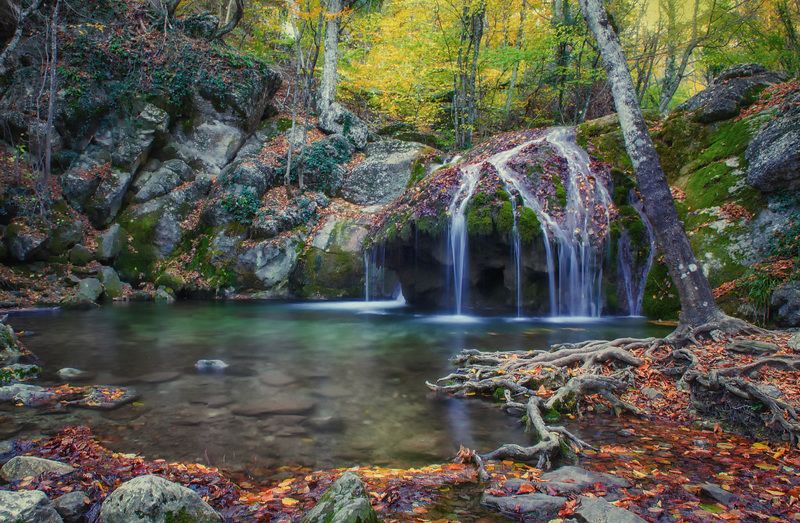 осень ущелье хапхал Осень в ущелье Хапхал. фото превью