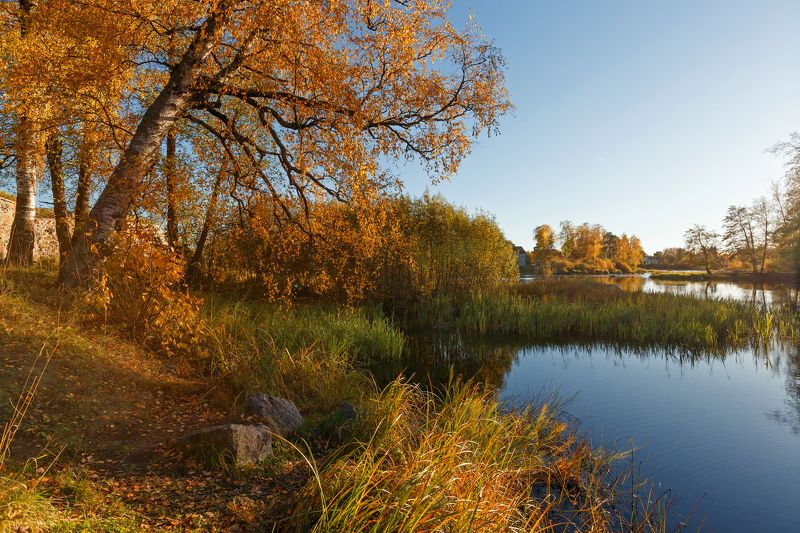 Солнечная осень фото превью