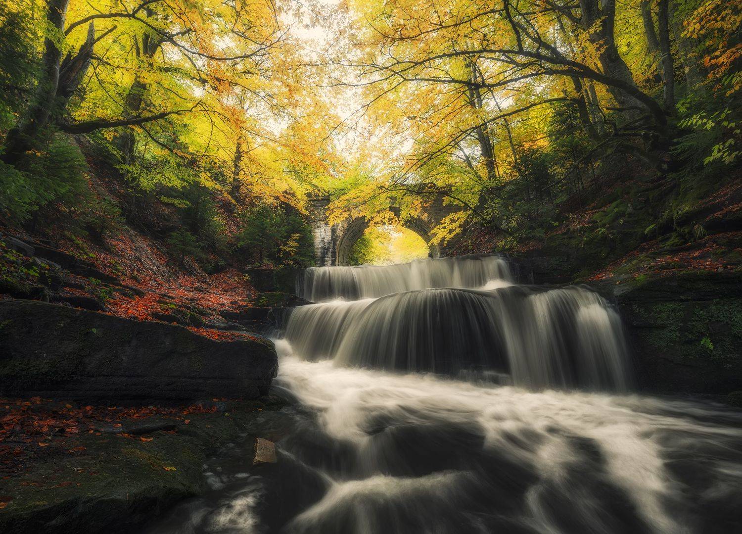 , Костадин Маджаров