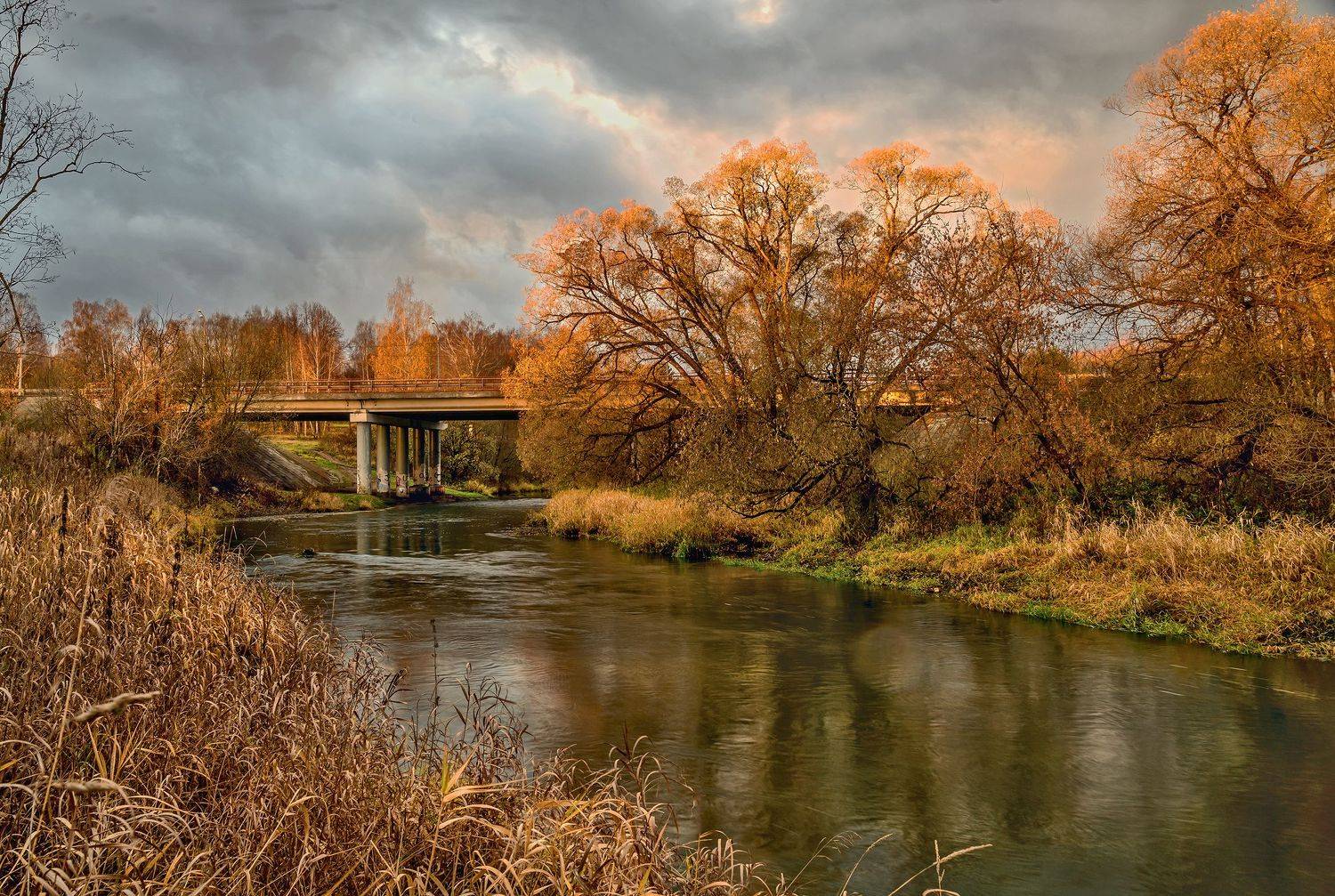 пойма реки истра. октябрь., Бирюков Вячеслав