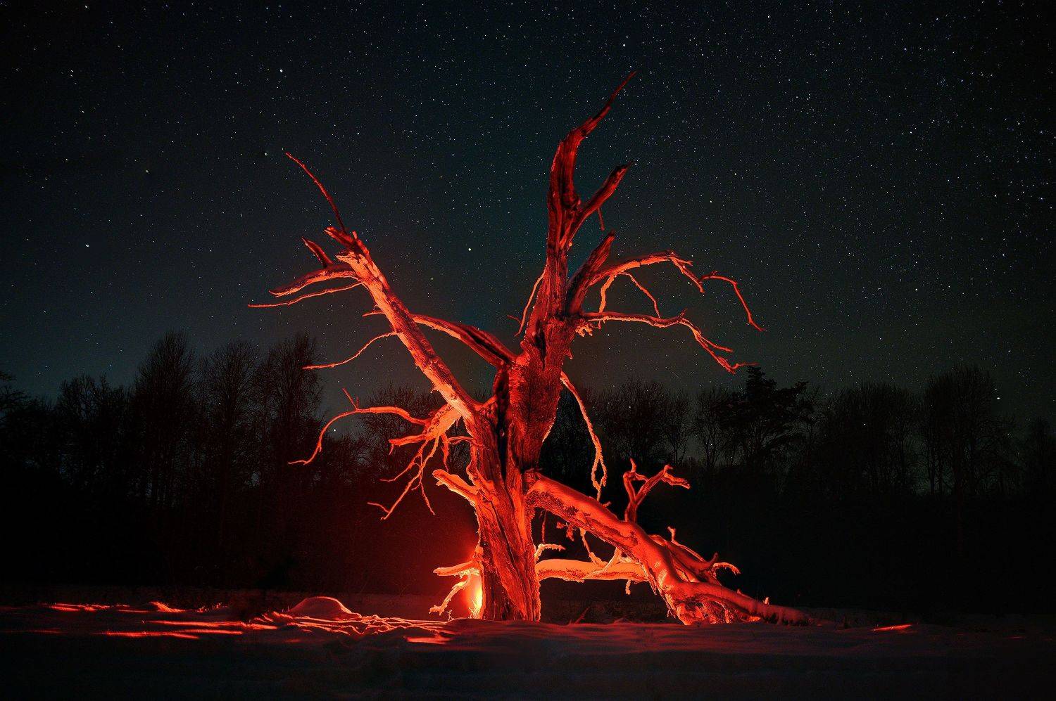 красный, Лутовкин Артём