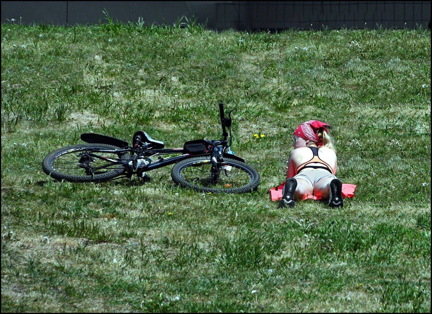 , Меднов Влад