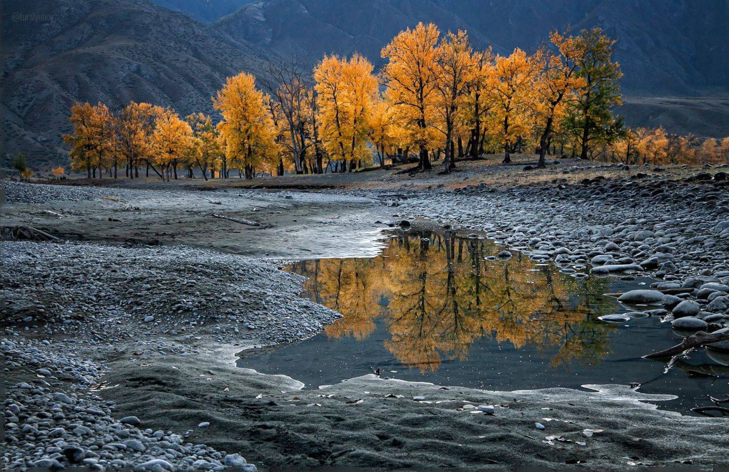 горный алтай, инегень, катунь, осень, фурслюбовь, furslyubov, Любовь Фурс