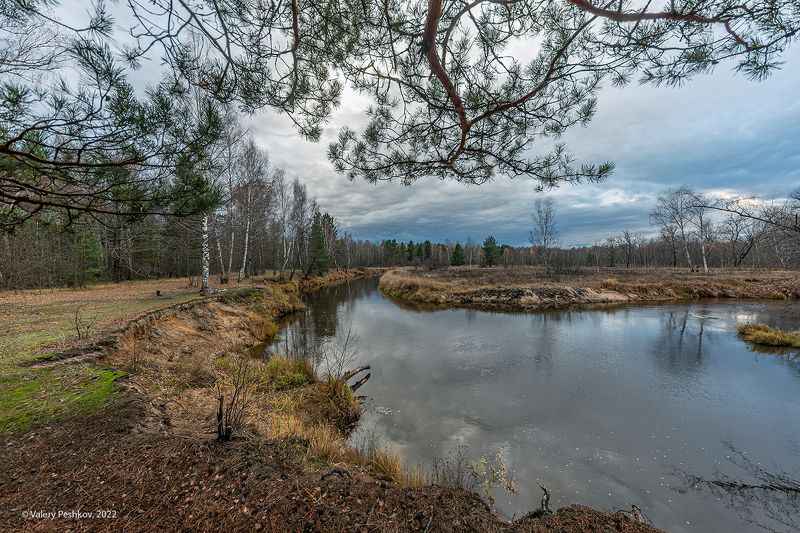 осень, осенняя река, отражения, графика крон, старица, мещёра, рязанская область. Мещёра актуальная фото превью