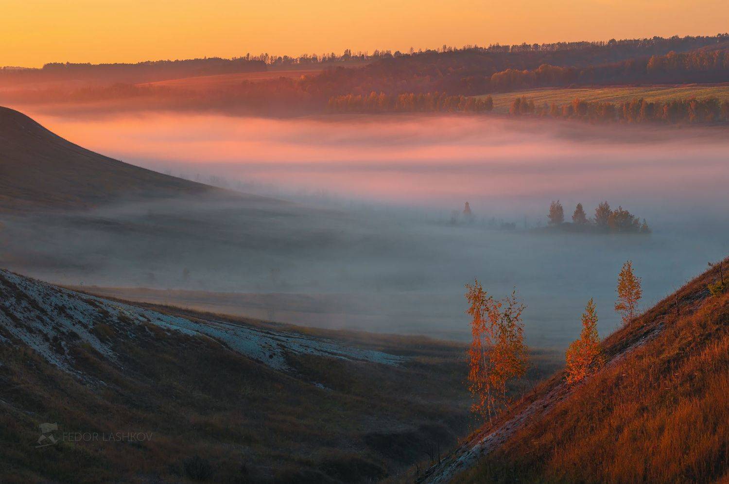 белгородская область, белогорье, осень, осенний, степь, заповедник, туман, туманное, гора, горное, холмистое, стенки &ndash; изгорья, рассвет, берёза, оранжевый,, Лашков Фёдор