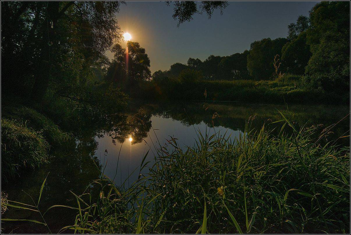 калужская обл. лето, р. протва, утро, АНАТОЛИЙ ДОВЫДЕНКО