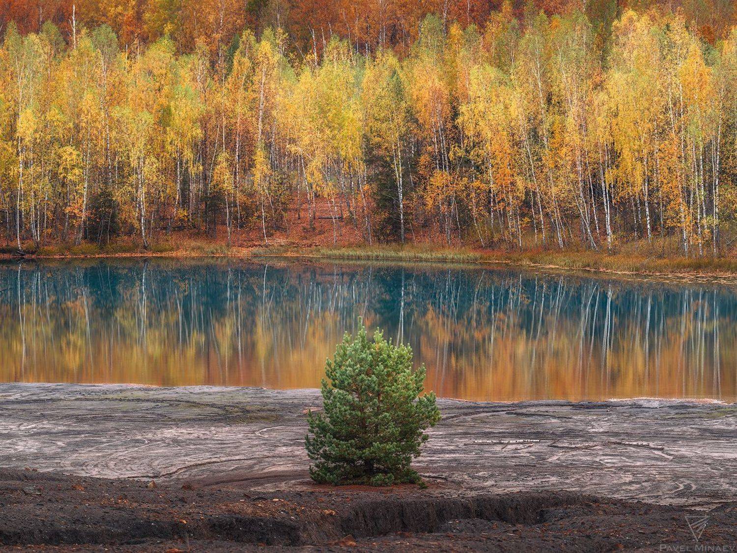 , Минаев Павел