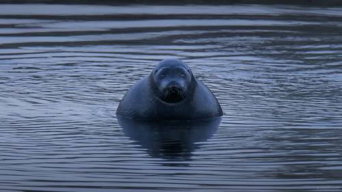 Белая ночь на Ладоге