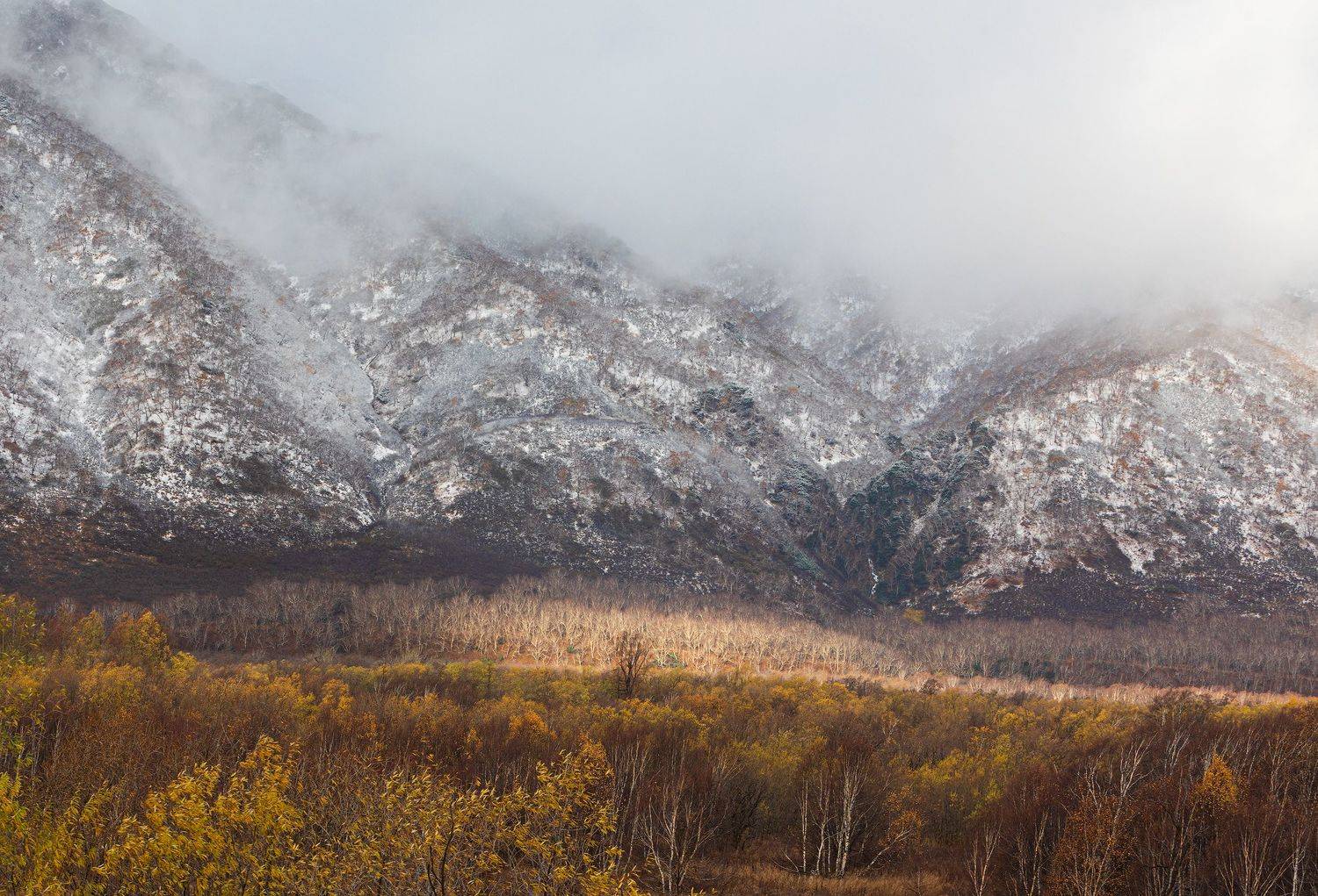 , Максин Александр