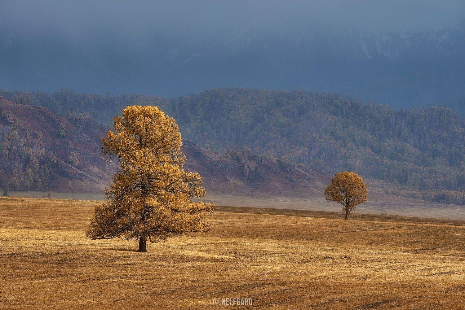 , Чехонин Александр
