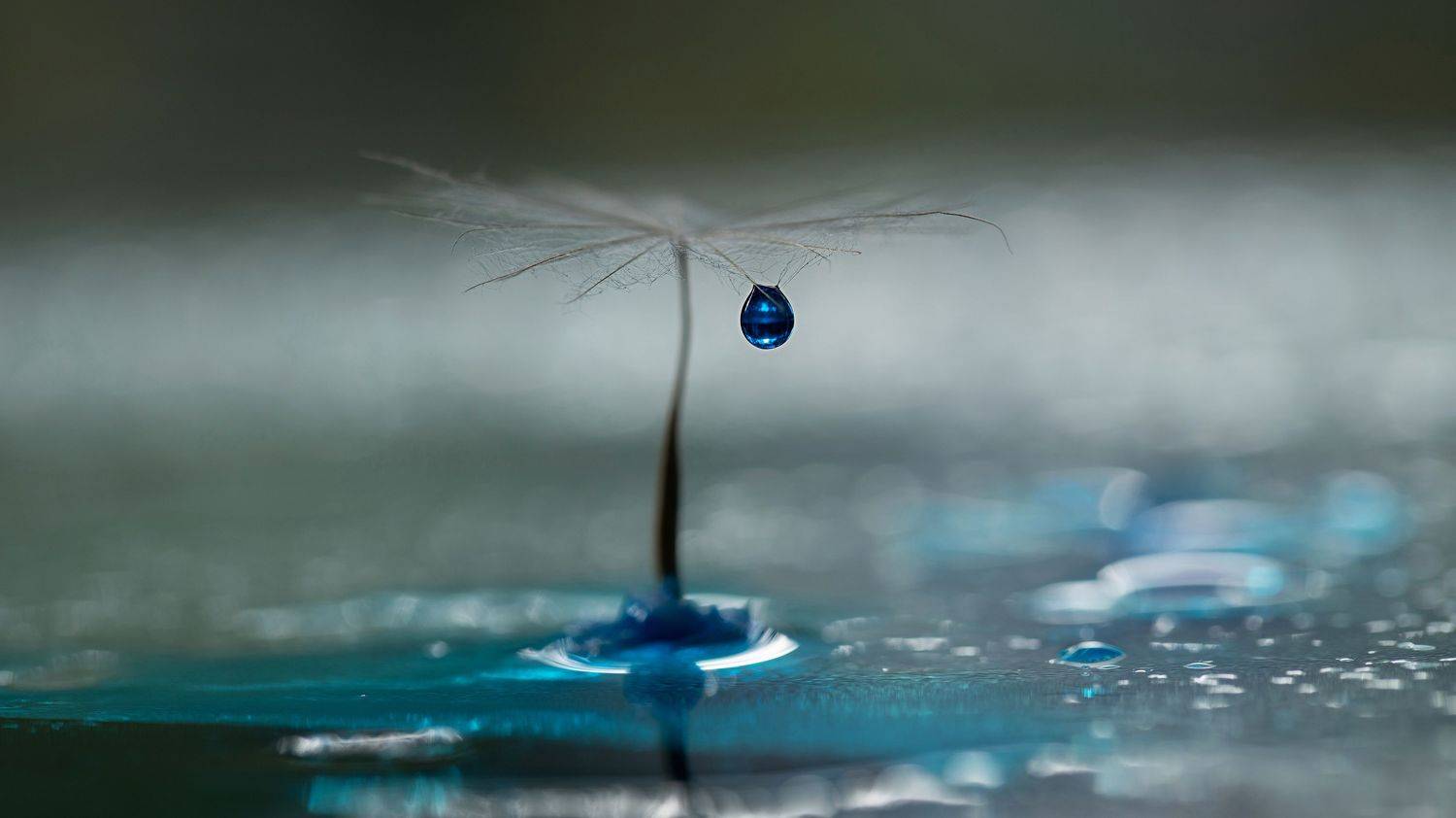 , Мария Обидина