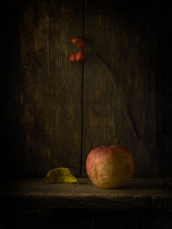 .... фото превью