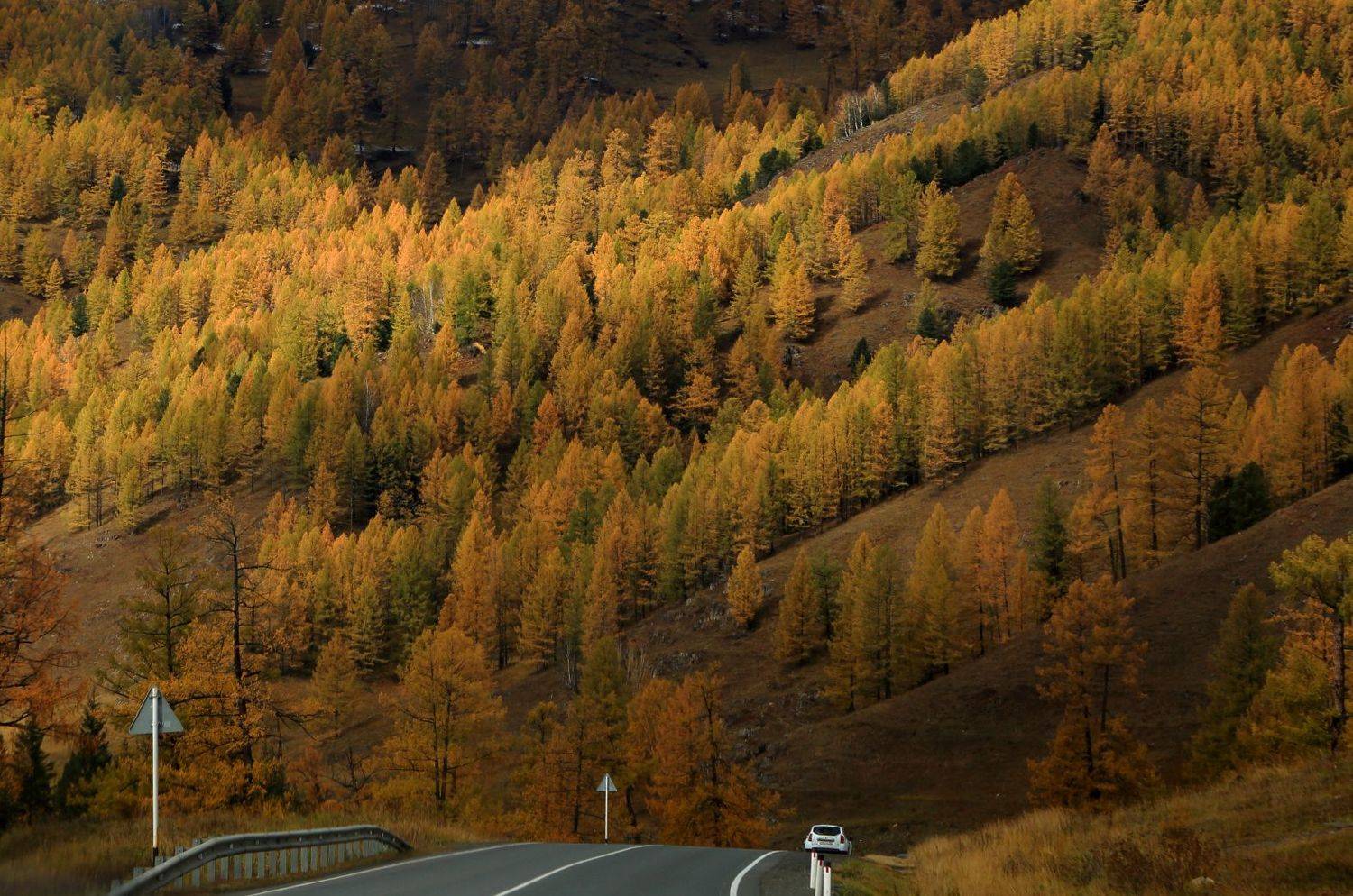 , Евгений Зинов