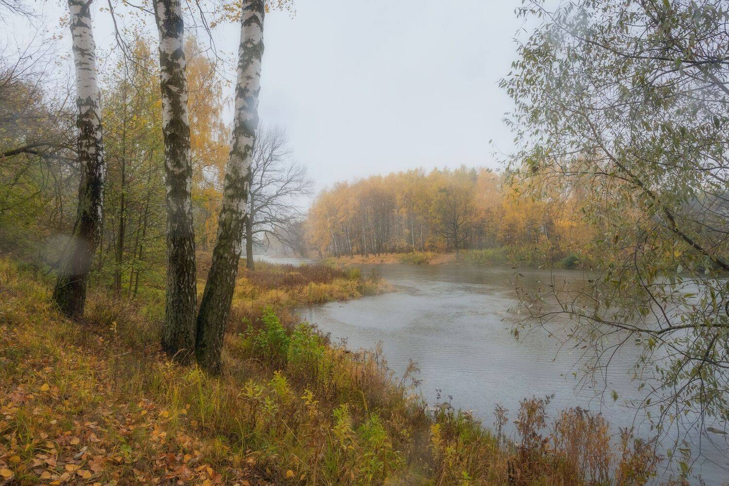 пейзаж, осень, природа, дождь, Мартыненко Дмитрий