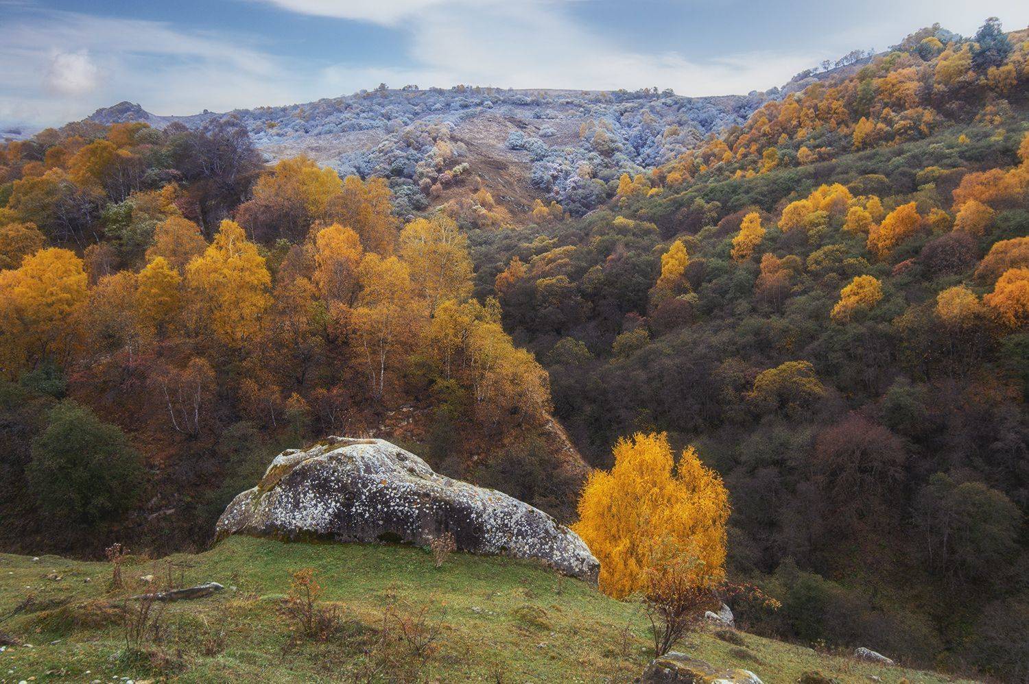 , Овсенёв Александр