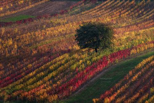 Буйство осенних красок