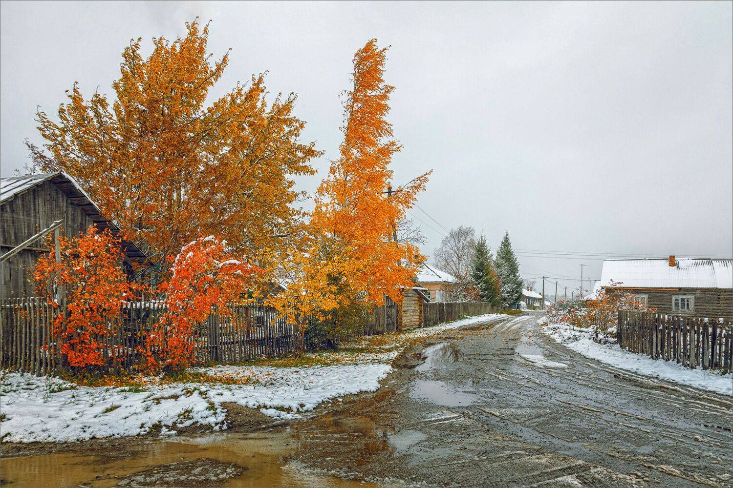 пейзаж, осень, снег, деревня, цвет, свет, александр никитинский, Никитинский Александр