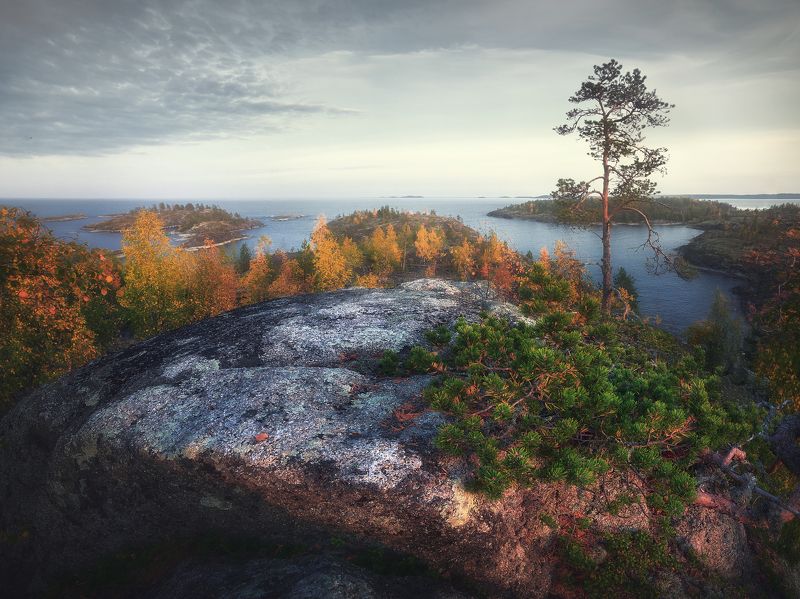 Ладога Ладожская осень фото превью