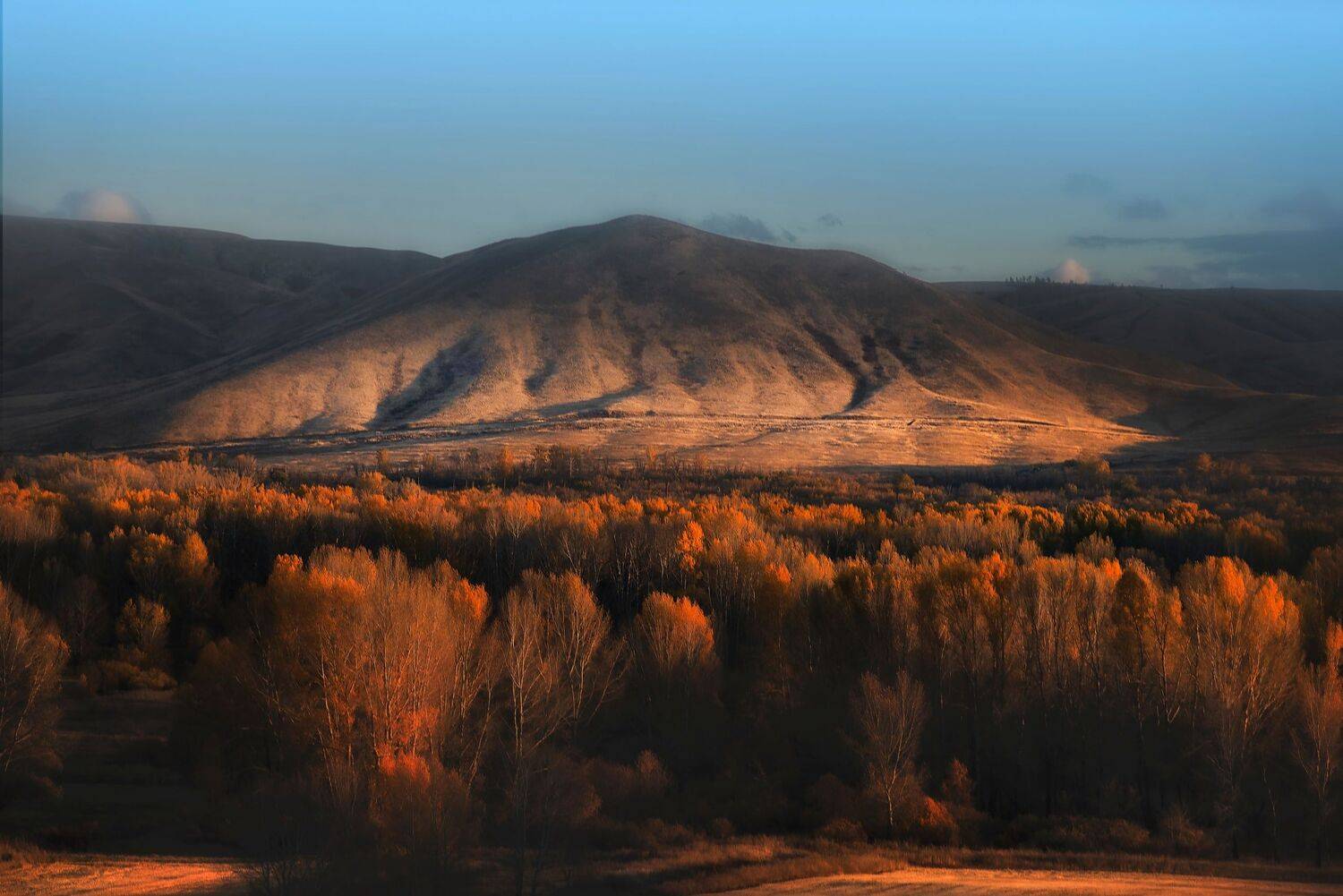 , Антонов Антон