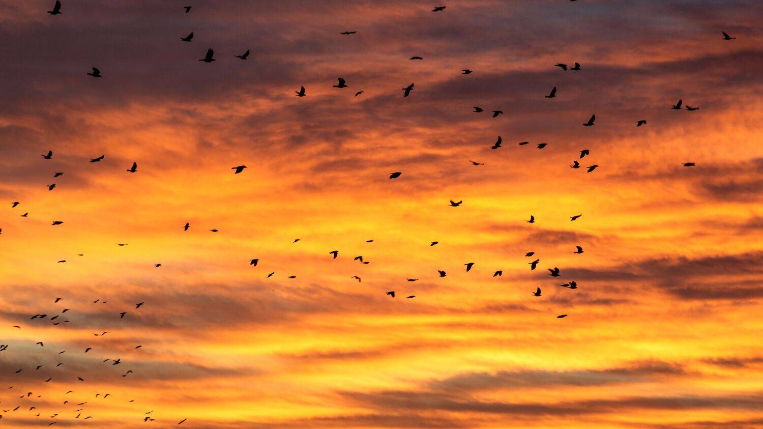 , Юрий Вертиков