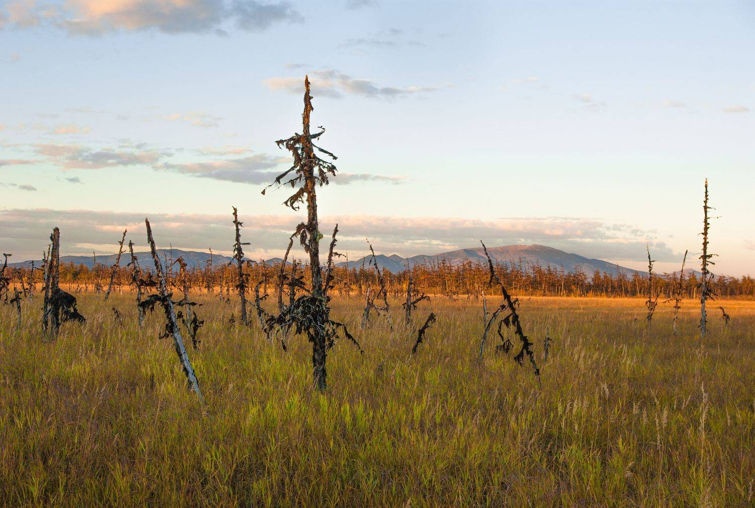 , Андрей Загребельный