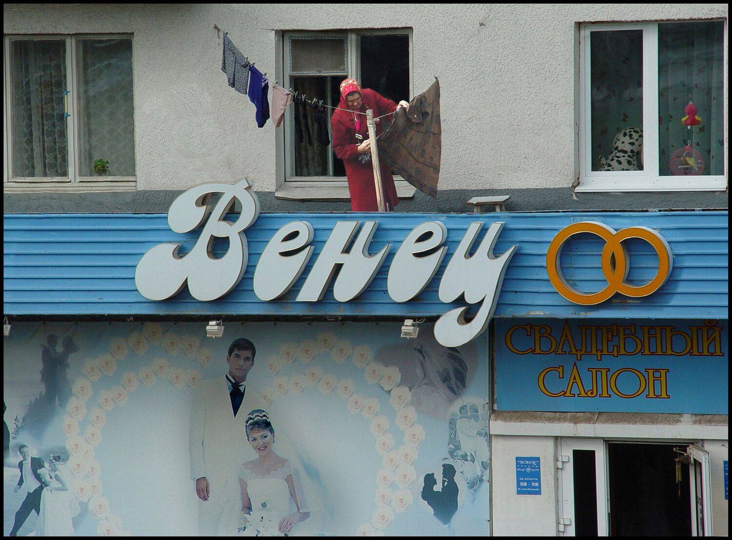 , Меднов Влад