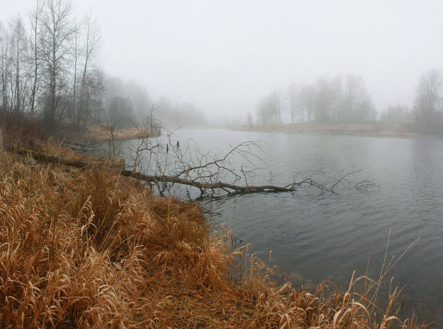 осень , туман , озеро , Александр Свистков