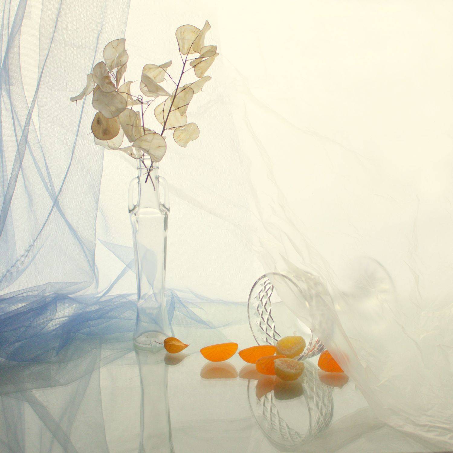 лунария, стекло, натюрморт, Хохлова Наталья