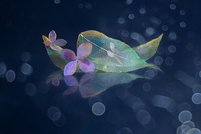 still life close-up Spiritually фото превью