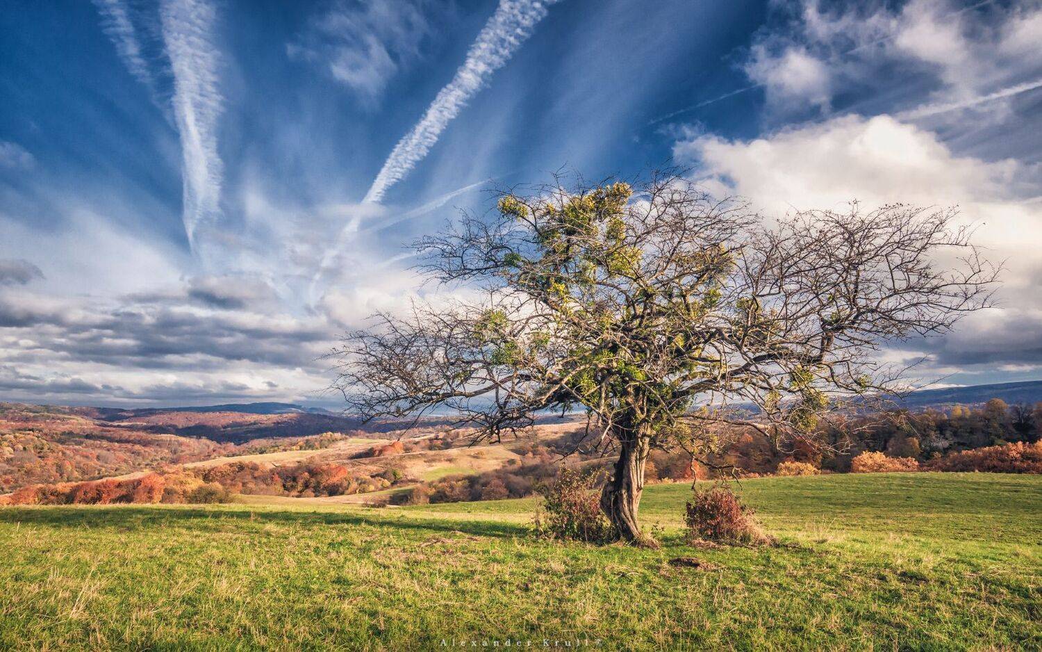 , Круль Александр