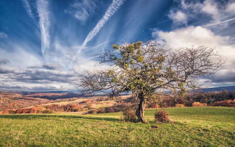 Раскинулась осень широко... фото превью