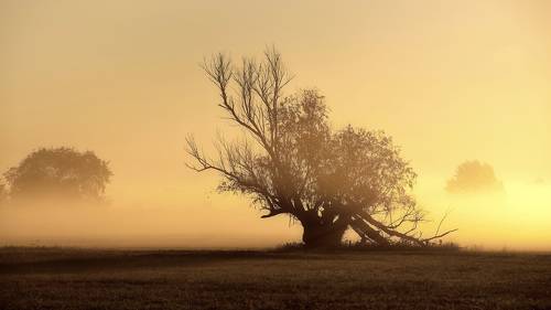 На восходе солнца