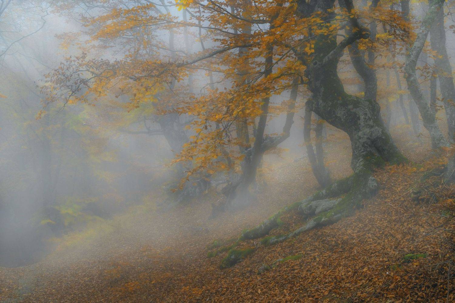 Фототуры с Владимиром Рябковым, #topnature #russpasibo #magic_shots #lovelyRussia #sunset_vision #exclusive_sky  #exclusive_shots #loves_russia2 #photoarena_nature #nature_sultans #nature_perfection #rsa_sky #rsa_sunset #photorussia #rsa_naturepics #sunse, Владимир Рябков