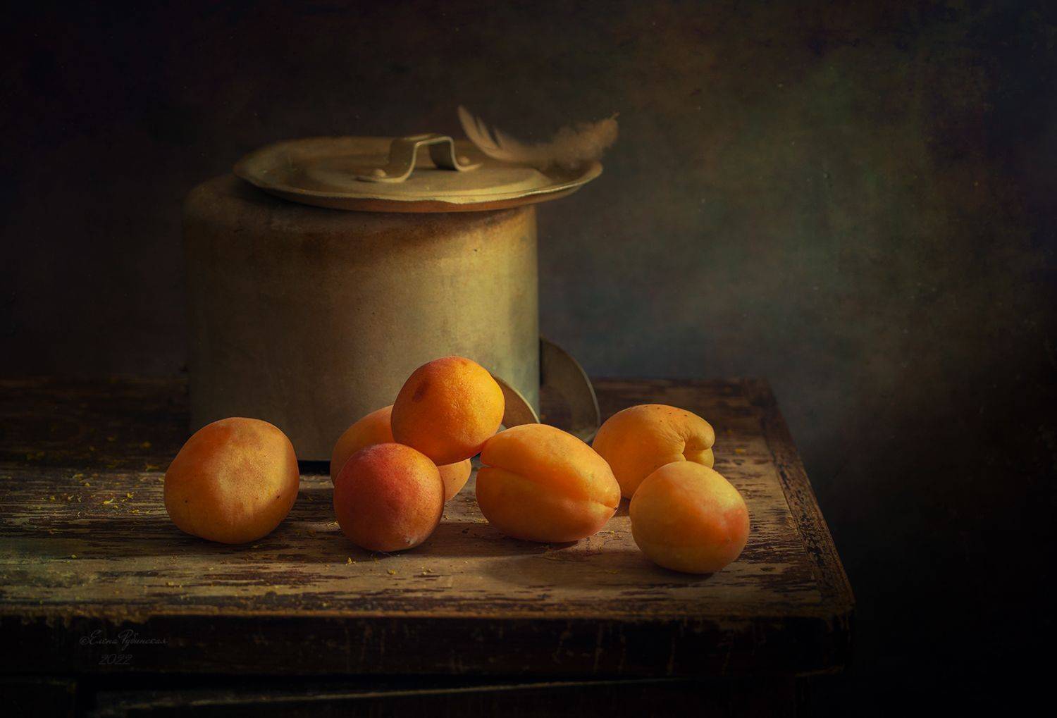 кострома, абрикосы, Елена Рубинская