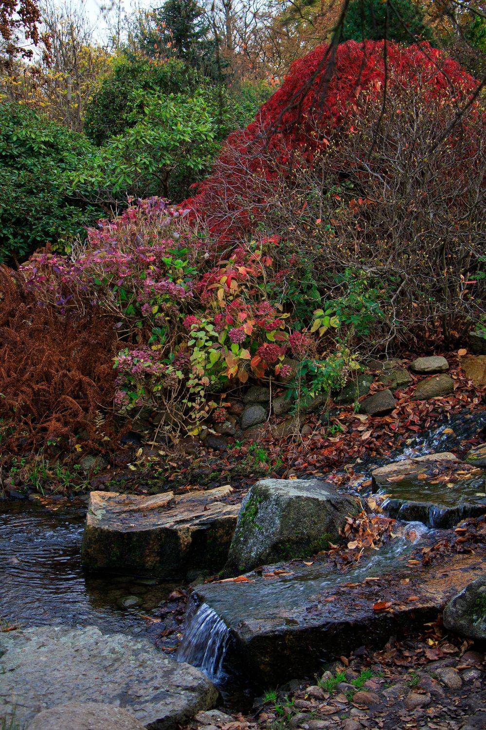 , Жорнова Светлана