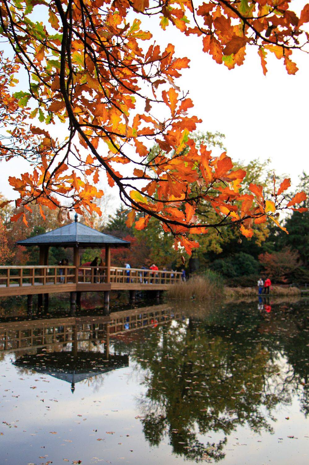 , Жорнова Светлана