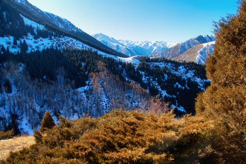 Осень в рамке