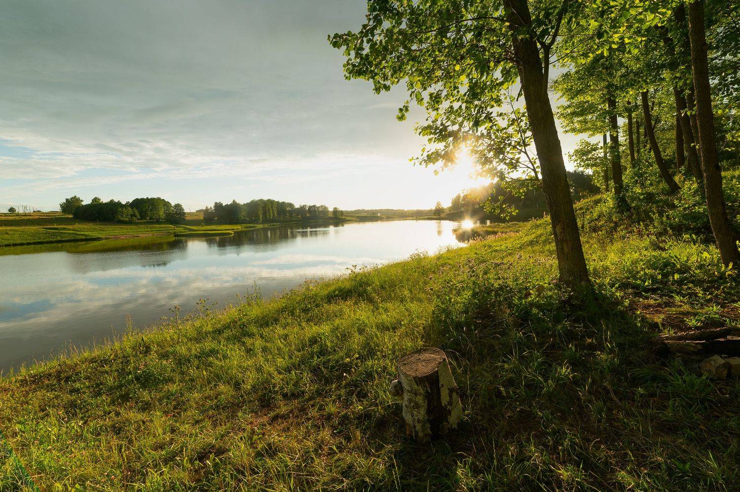 , Стрельцов Виталий